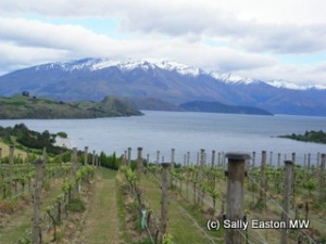 Rippon Vineyard, Central Otago